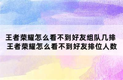 王者荣耀怎么看不到好友组队几排 王者荣耀怎么看不到好友排位人数